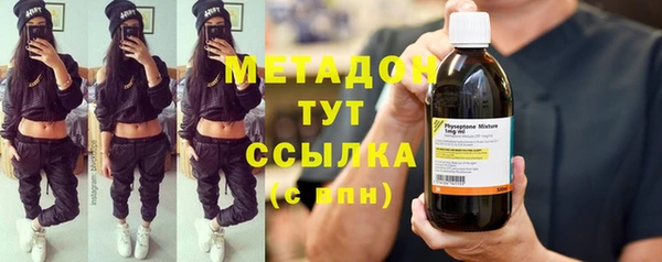 шишки Горняк