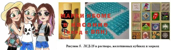 шишки Горняк