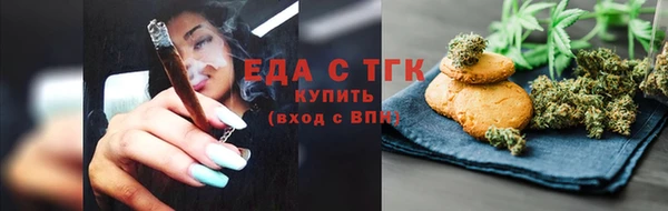 шишки Горняк