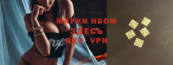 шишки Горняк