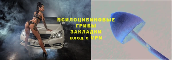таблы Гусев