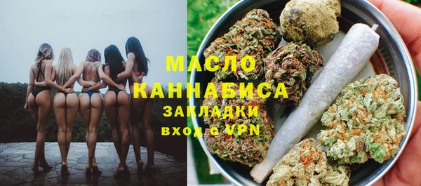 шишки Горняк