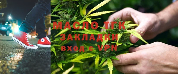 шишки Горняк