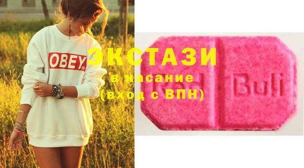 шишки Горняк