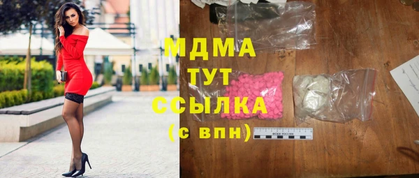 шишки Горняк
