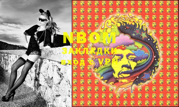 шишки Горняк