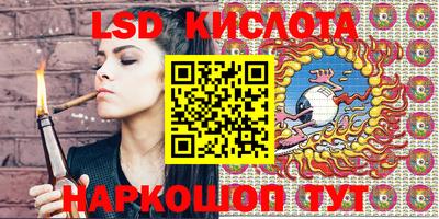 PSILOCYBIN Гатчина