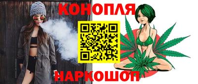 PSILOCYBIN Гатчина