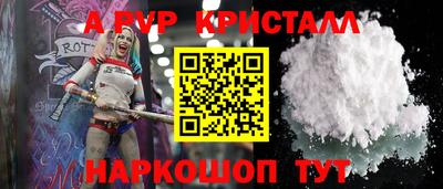 PSILOCYBIN Гатчина