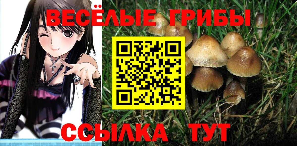 Дзержинский  Псилоцибиновые грибы прущие грибы  Вход с VPN 