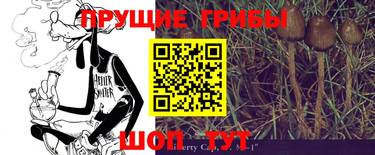 Галлюциногенные грибы Cubensis  Псилоцибиновые грибы мицелий  Дзержинский 