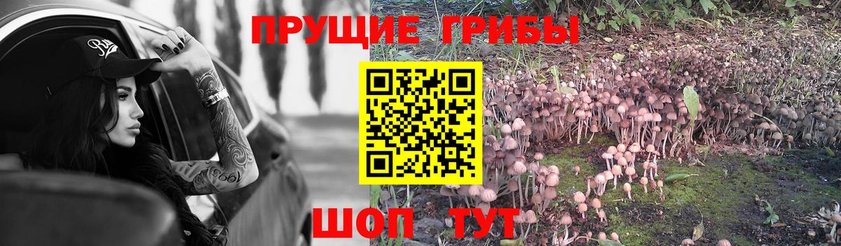 Мефедрон   Меф МЯУ МЯУ  Дзержинский  Вход с VPN  ГАШ  Марихуана  Cocaine 