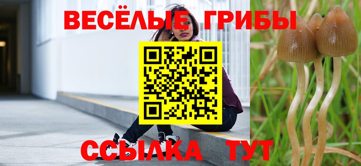 Псилоцибиновые грибы Cubensis Дзержинский